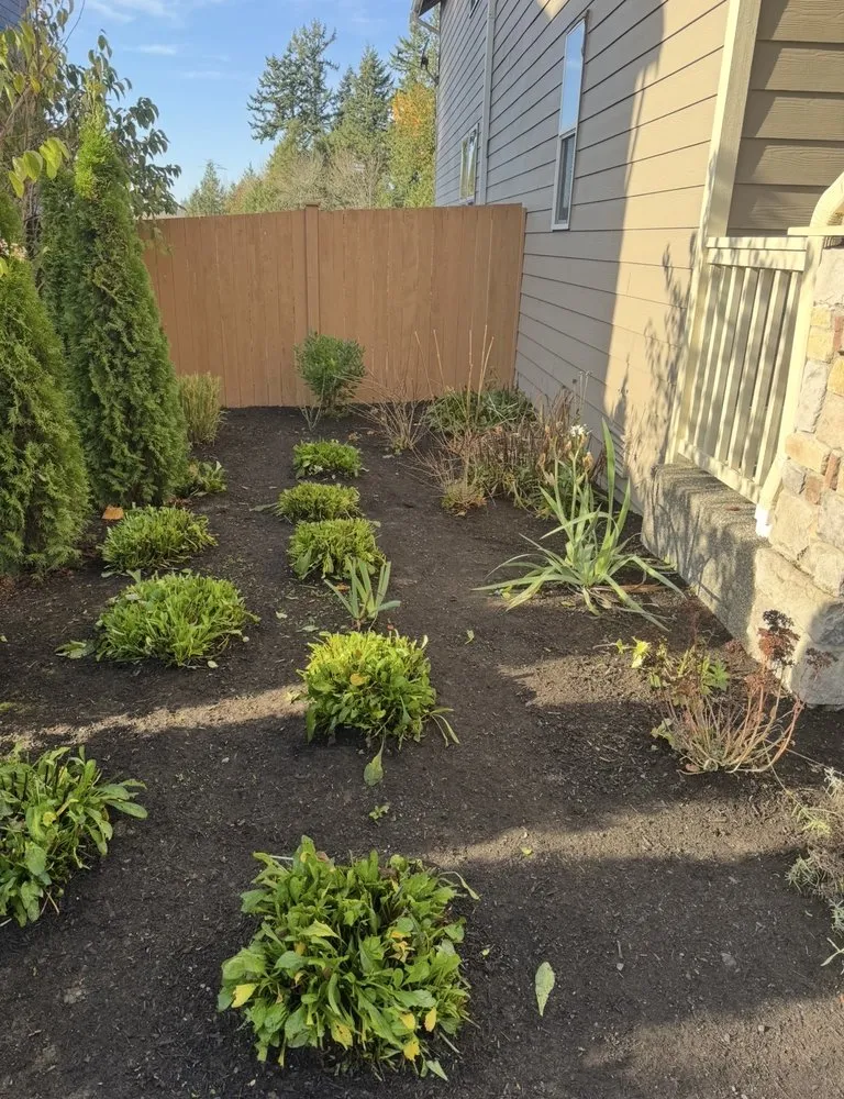 Affordable yard cleanup service in Marysville, WA by Olson Landscaping