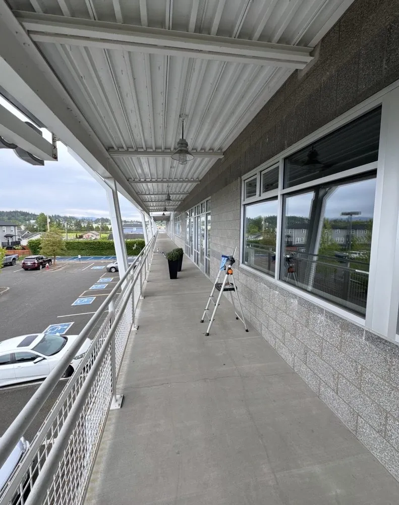 Professional yard cleanup service in Marysville, WA - Olson Landscaping