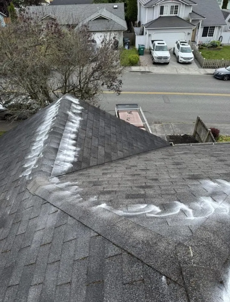 Expert yard cleanup service in Marysville, WA by Olson Landscaping