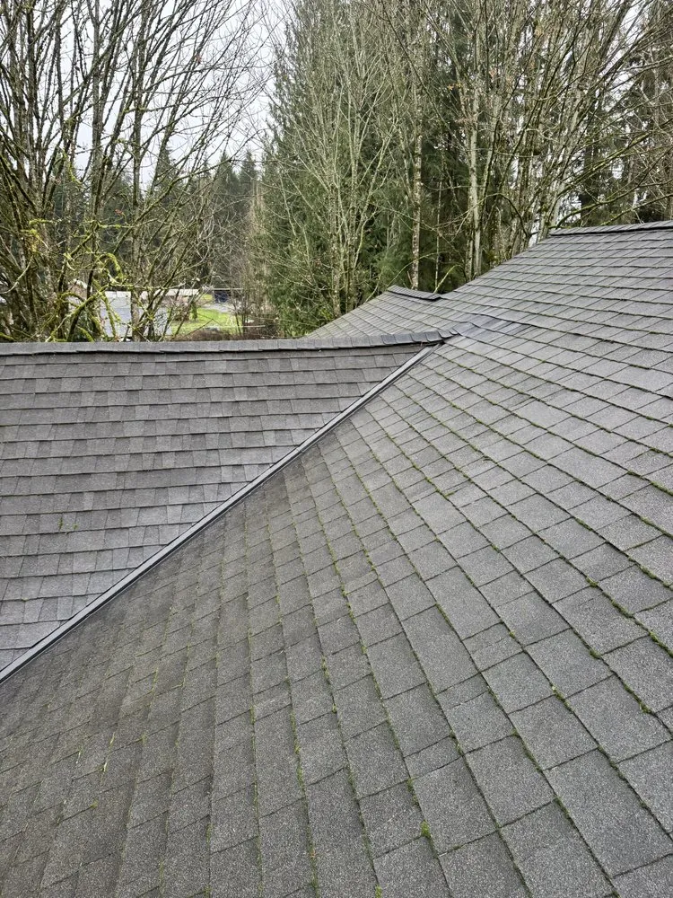 Custom garden landscaping for year-round maintenance across Marysville, WA - Olson Landscaping