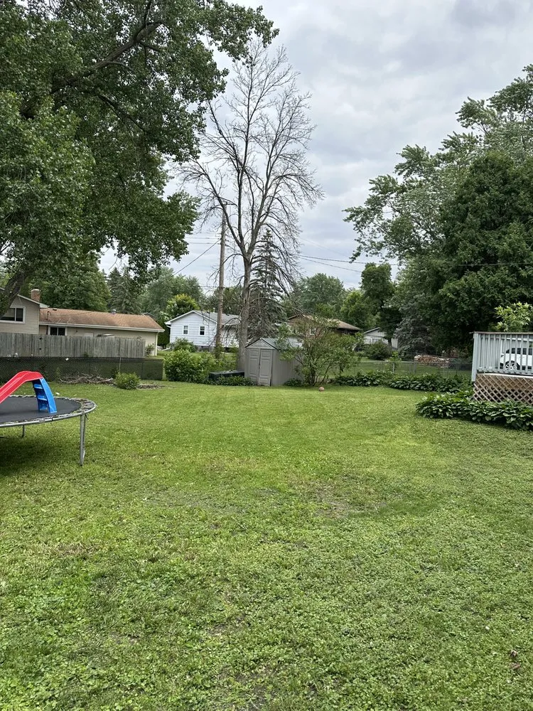 Reliable yard cleanup service for homes in Hopkins, MN by Olson Lawncare Landscaping