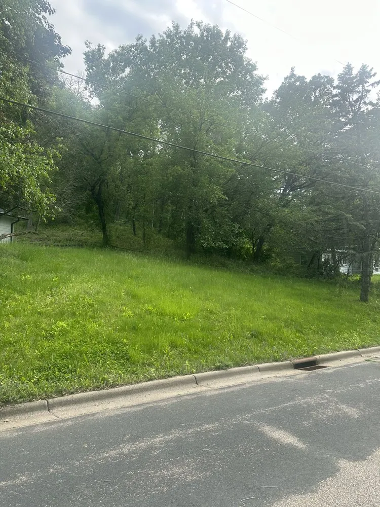 Expert lawn care service in Hopkins, MN by Olson Lawncare Landscaping