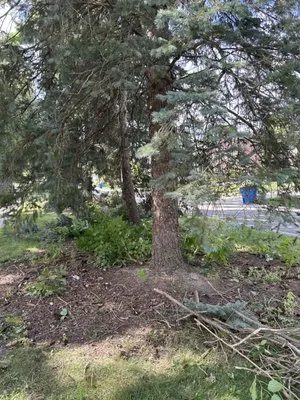 Olson Outdoor Solutions