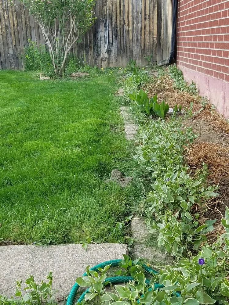 Trusted residential landscaping in Broomfield, CO by Olson Outdoors