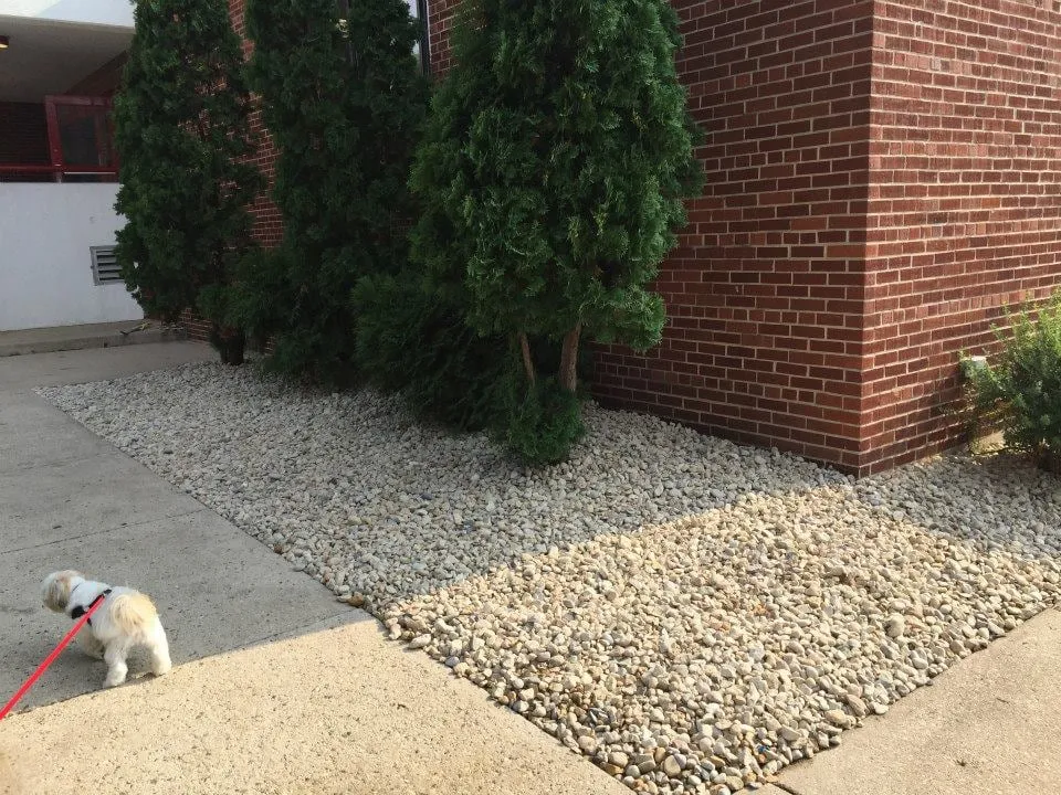 Expert yard maintenance in Verona, WI - Olson Toon Landscaping