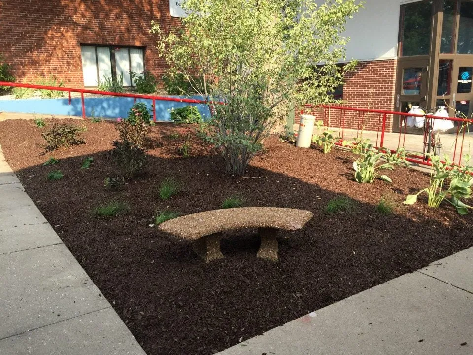 Trusted yard cleanup service experts serving Verona, WI - Olson Toon Landscaping