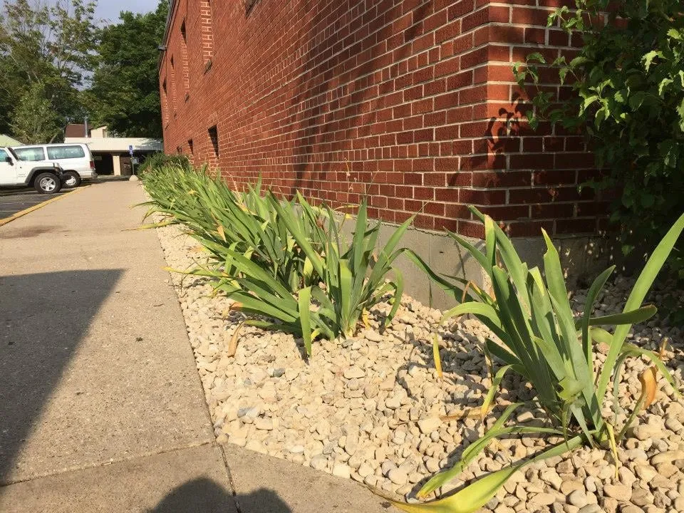 Local yard maintenance experts serving Verona, WI - Olson Toon Landscaping