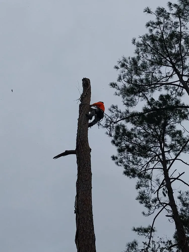 Reliable lawn care service in Iowa, LA by Olson's Earthworks