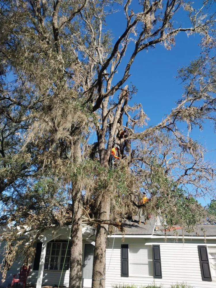 Professional yard maintenance experts serving Iowa, LA - Olson's Earthworks