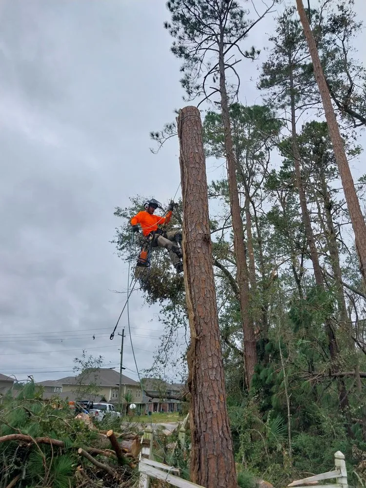Affordable landscape design with custom design in Iowa, LA by Olson's Earthworks