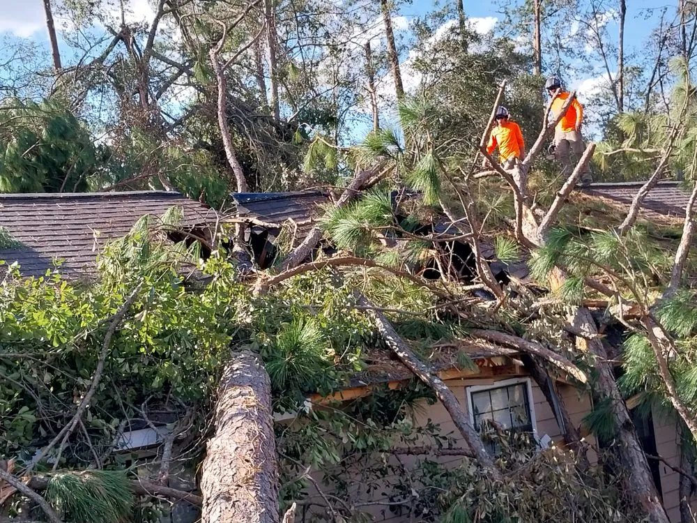 Custom yard cleanup service with custom design across Iowa, LA - Olson's Earthworks