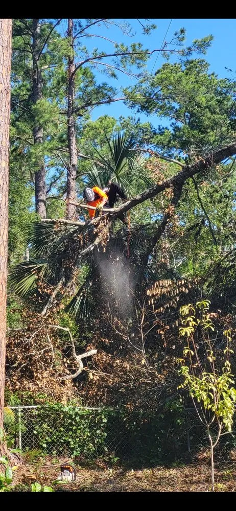 Top-rated garden landscaping for residential properties across Iowa, LA - Olson's Earthworks