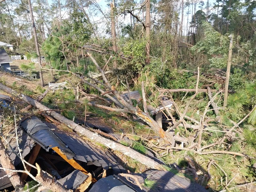 Trusted yard cleanup service in Iowa, LA by Olson's Earthworks