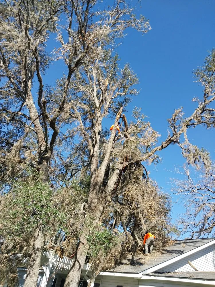 Top-rated yard cleanup service in Iowa, LA - Olson's Earthworks