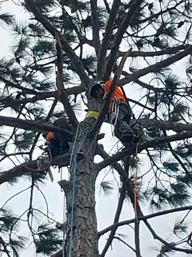 Reliable landscaping services in Iowa, LA - Olson's Earthworks