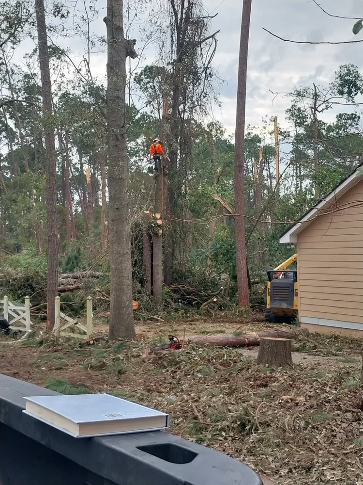 Reliable landscaping services in Iowa, LA - Olson's Earthworks