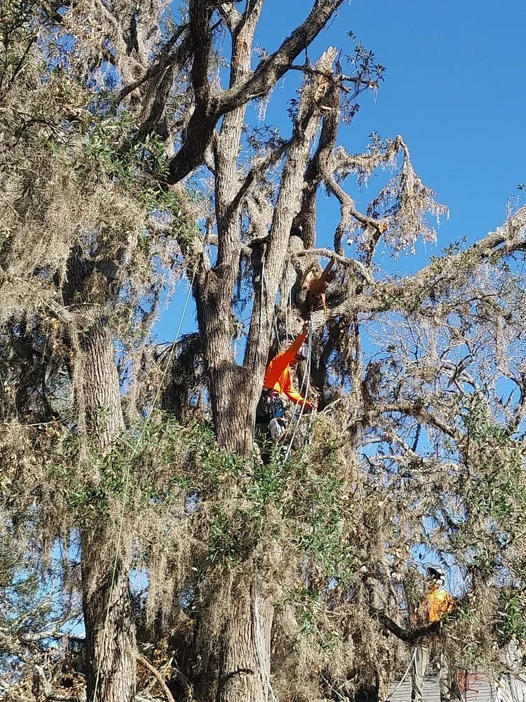 Local landscaping services for residential properties across Iowa, LA - Olson's Earthworks