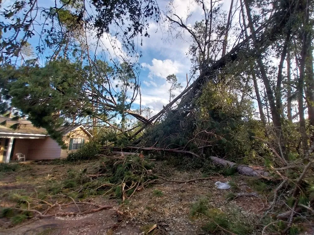 Trusted lawn mowing service in Iowa, LA - Olson's Earthworks