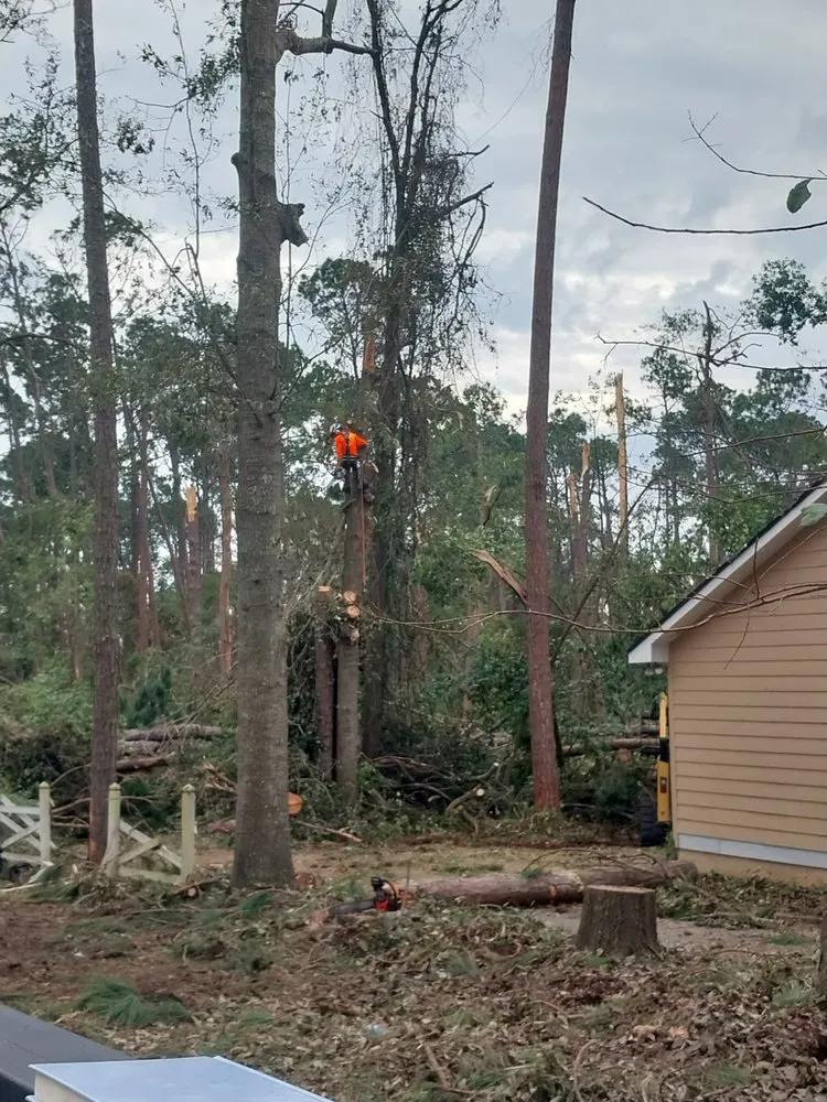 Trusted landscape installation in Iowa, LA - Olson's Earthworks