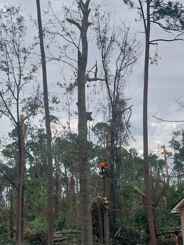 Affordable lawn mowing service for residential properties in Iowa, LA by Olson's Earthworks