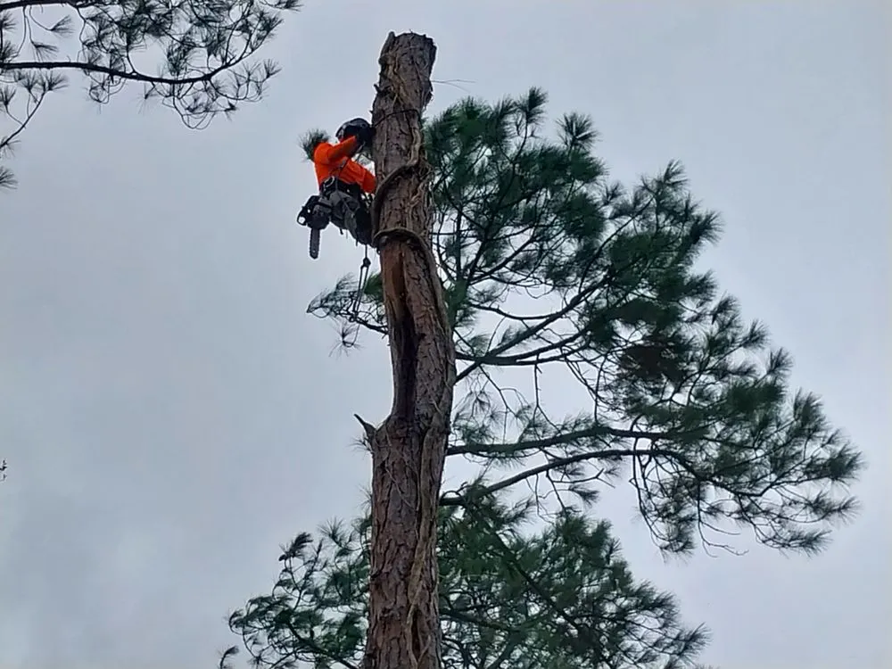 Local landscaping services in Iowa, LA - Olson's Earthworks