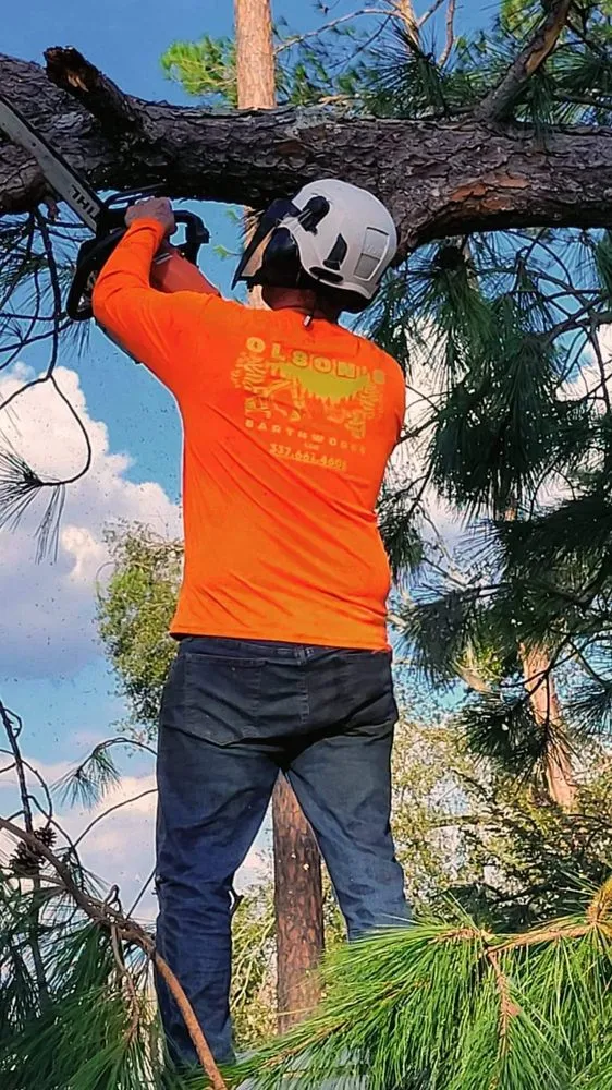 Local yard maintenance near you in Iowa, LA by Olson's Earthworks