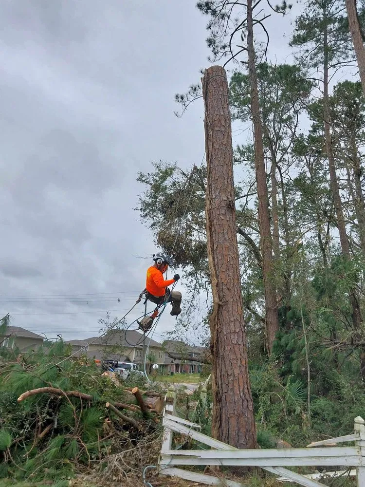 Reliable landscaping services for residential properties across Iowa, LA - Olson's Earthworks