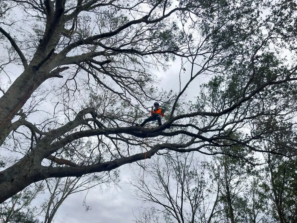 Trusted residential landscaping experts serving Iowa, LA - Olson's Earthworks