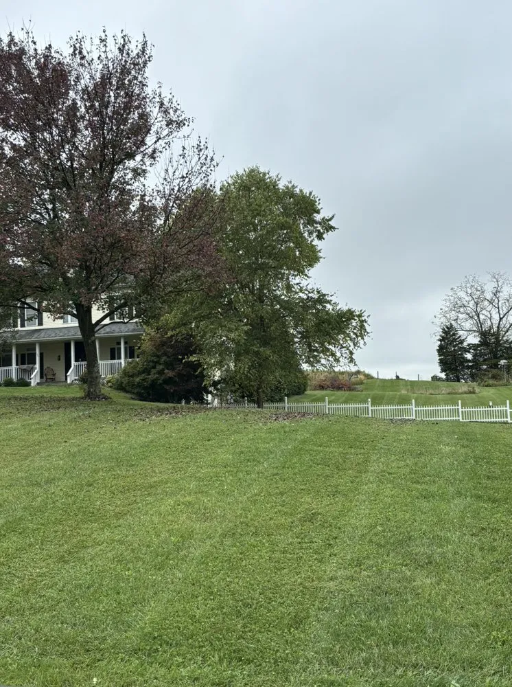 Trusted yard cleanup service in Bedford, VA - Olsons Family Lawn Care