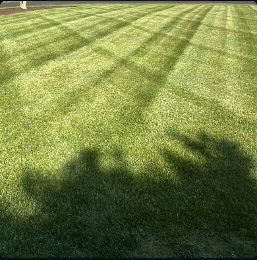 Expert landscape design experts serving Bedford, VA - Olsons Family Lawn Care
