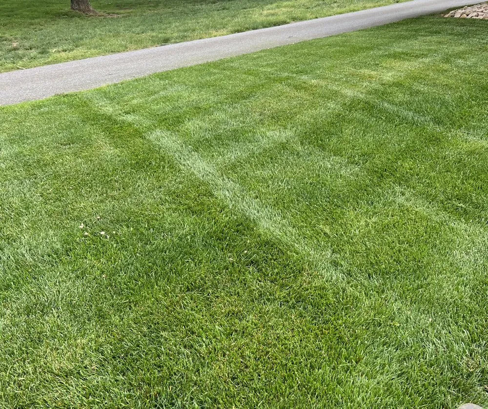 Local landscaping services in Bedford, VA - Olsons Family Lawn Care