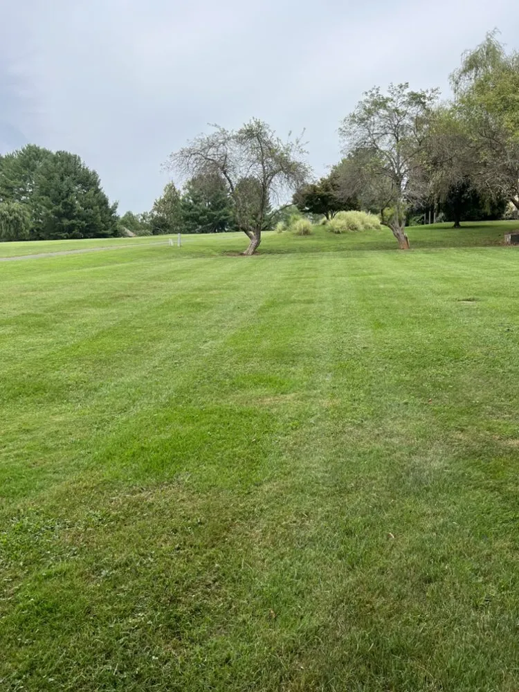 Trusted outdoor landscaping in Bedford, VA - Olsons Family Lawn Care