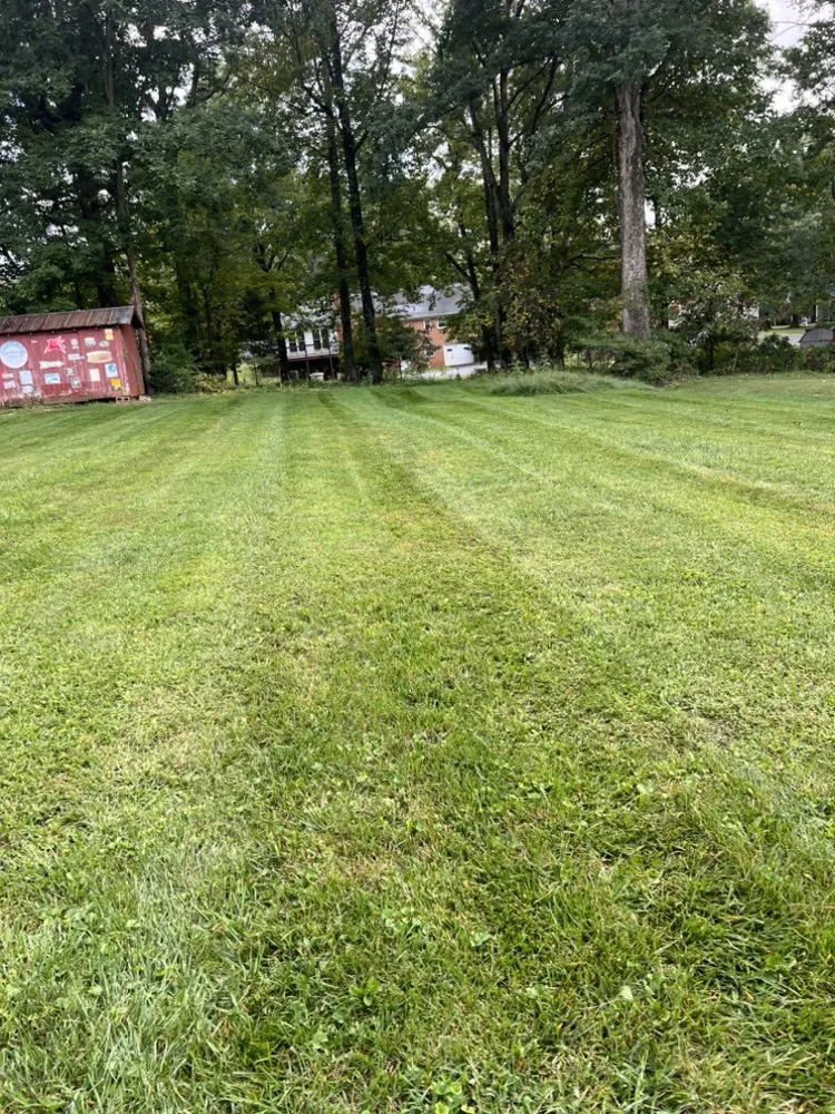 Affordable landscaping services in Bedford, VA by Olsons Family Lawn Care