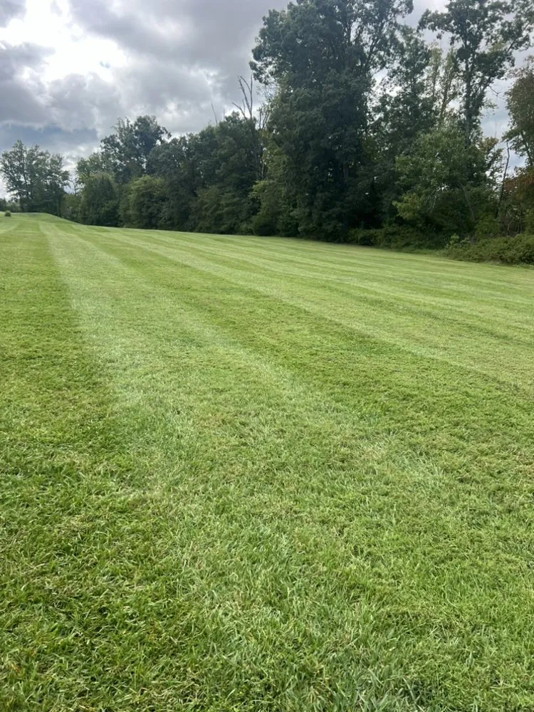 Local yard cleanup service for year-round maintenance in Bedford, VA by Olsons Family Lawn Care