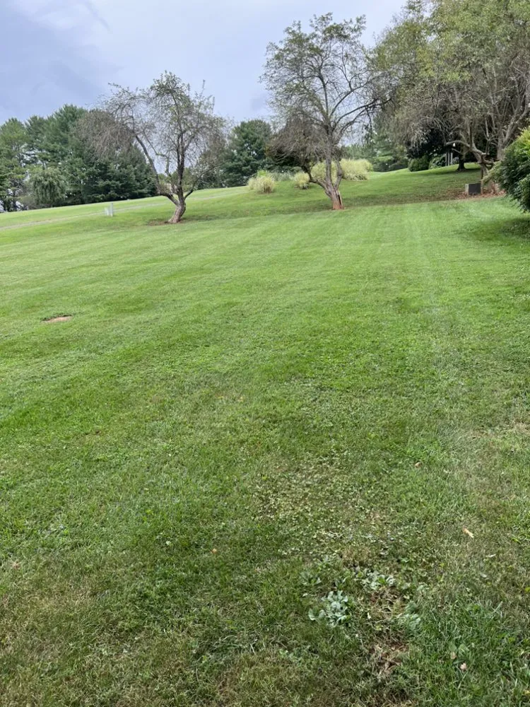 Professional outdoor landscaping experts serving Bedford, VA - Olsons Family Lawn Care