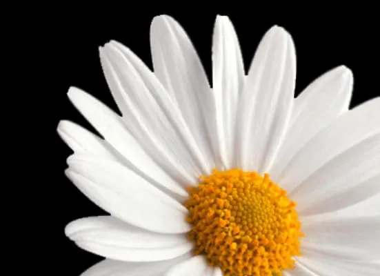 Olson's Irrigation & Landscaping