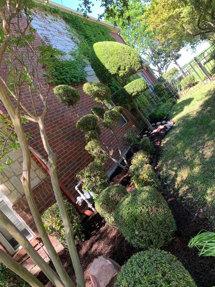 Trusted yard cleanup service experts serving Leander, TX - Olvera Lawn Service