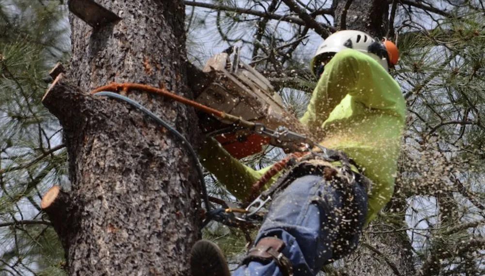 Top-rated landscape installation in Fort Worth, TX - Olvera Lawn Services