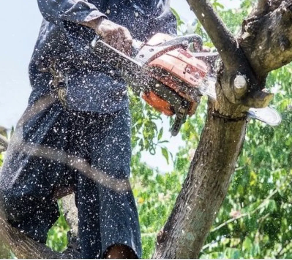 Professional garden landscaping for beautiful yards in Fort Worth, TX by Olvera Lawn Services