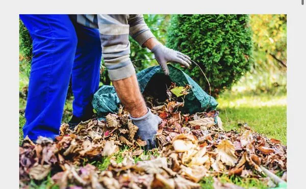 Olvera Lawn Services Logo