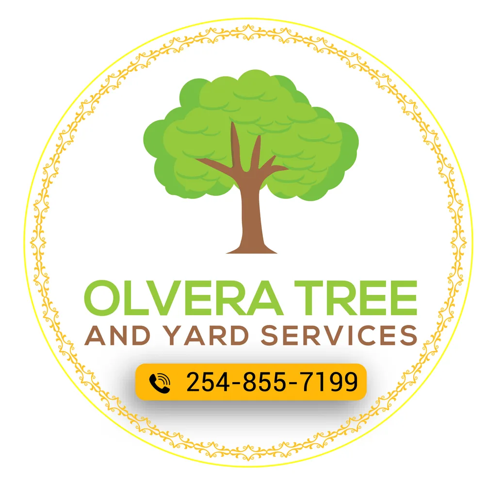 Local outdoor landscaping experts serving Waco, TX - Olvera Tree and Yard Services
