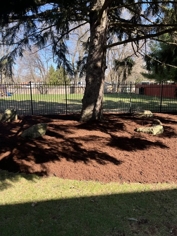 Local yard cleanup service for homes in Aurora, IL by Olveras landscaping