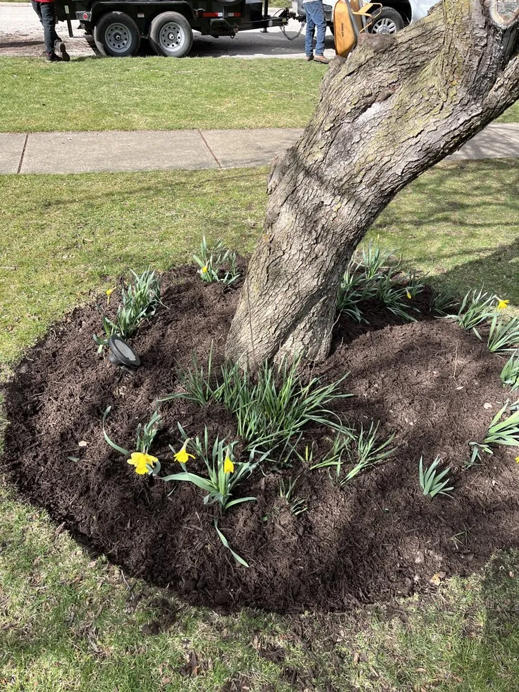 Reliable garden landscaping experts serving Aurora, IL - Olveras landscaping