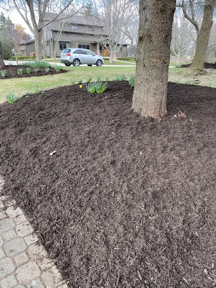 Professional yard maintenance in Aurora, IL by Olveras landscaping