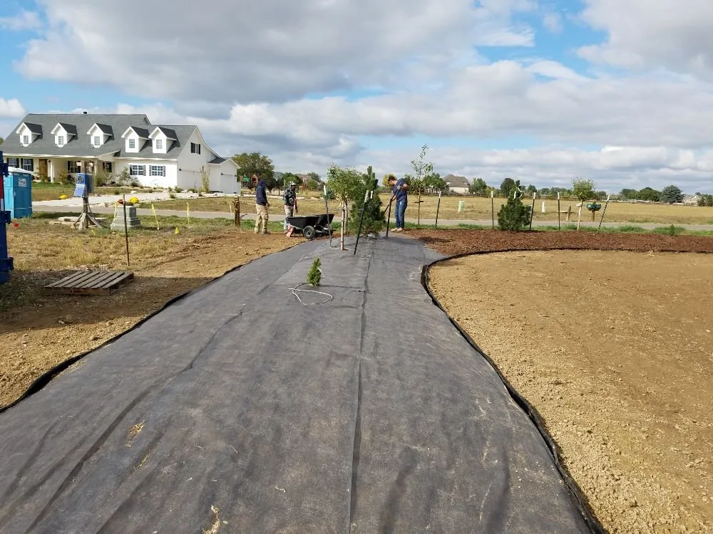 Local lawn care service for year-round maintenance in Fort Collins, CO by Olvera's Landscaping Pro Company