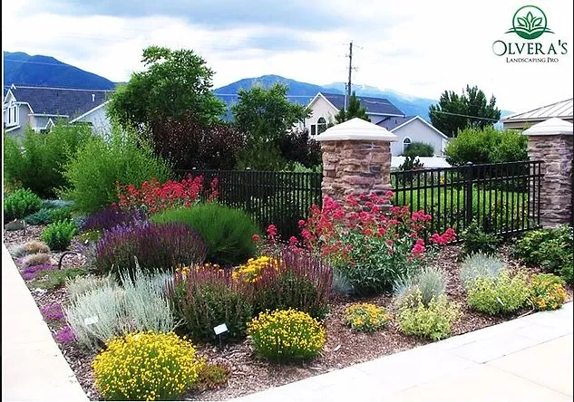 Top-rated lawn mowing service for year-round maintenance in Fort Collins, CO by Olvera's Landscaping Pro Company