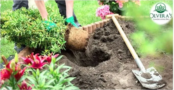 Reliable outdoor landscaping with custom design in Fort Collins, CO by Olvera's Landscaping Pro Company