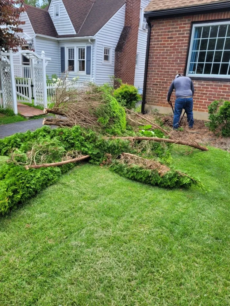 Top-rated lawn mowing service in Waynesboro, VA - Olvera's Landscaping