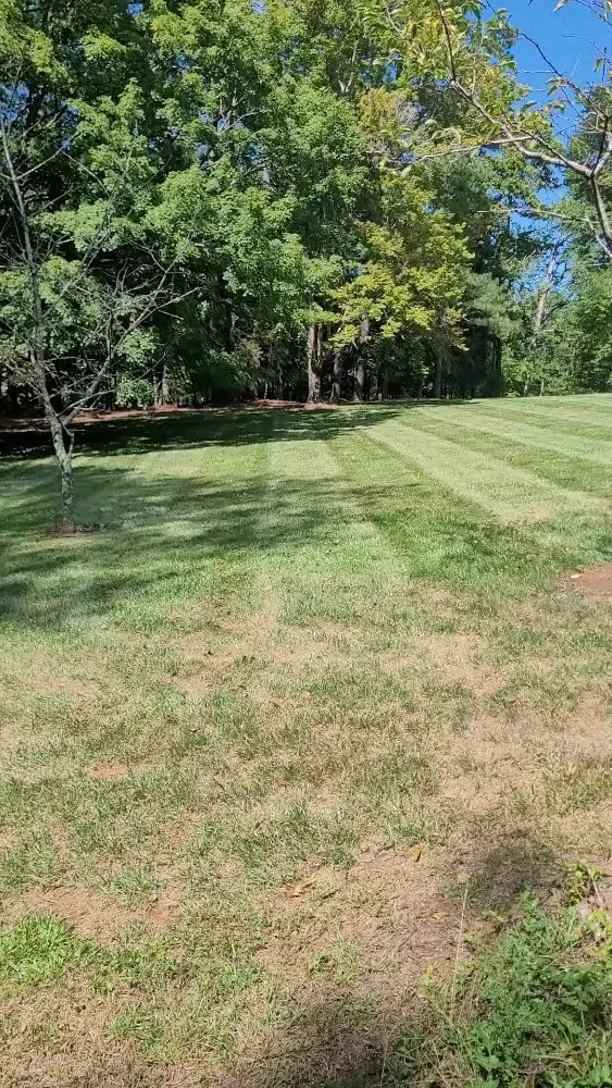 Expert lawn mowing service in Waynesboro, VA by Olvera's Landscaping