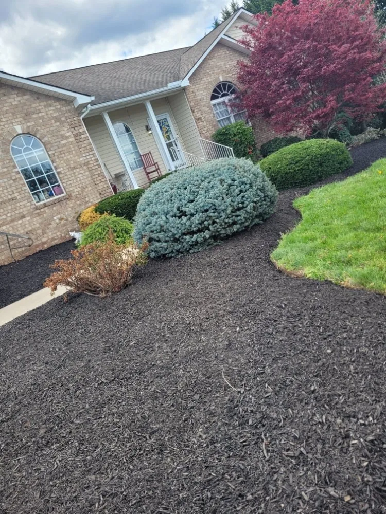 Trusted yard cleanup service near you in Waynesboro, VA by Olvera's Landscaping